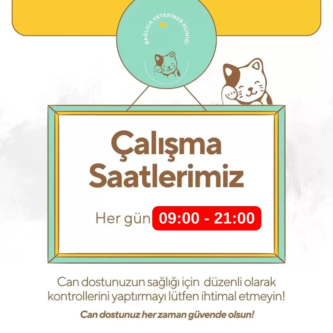 Ankara Bağlıca Veteriner Kliniği.